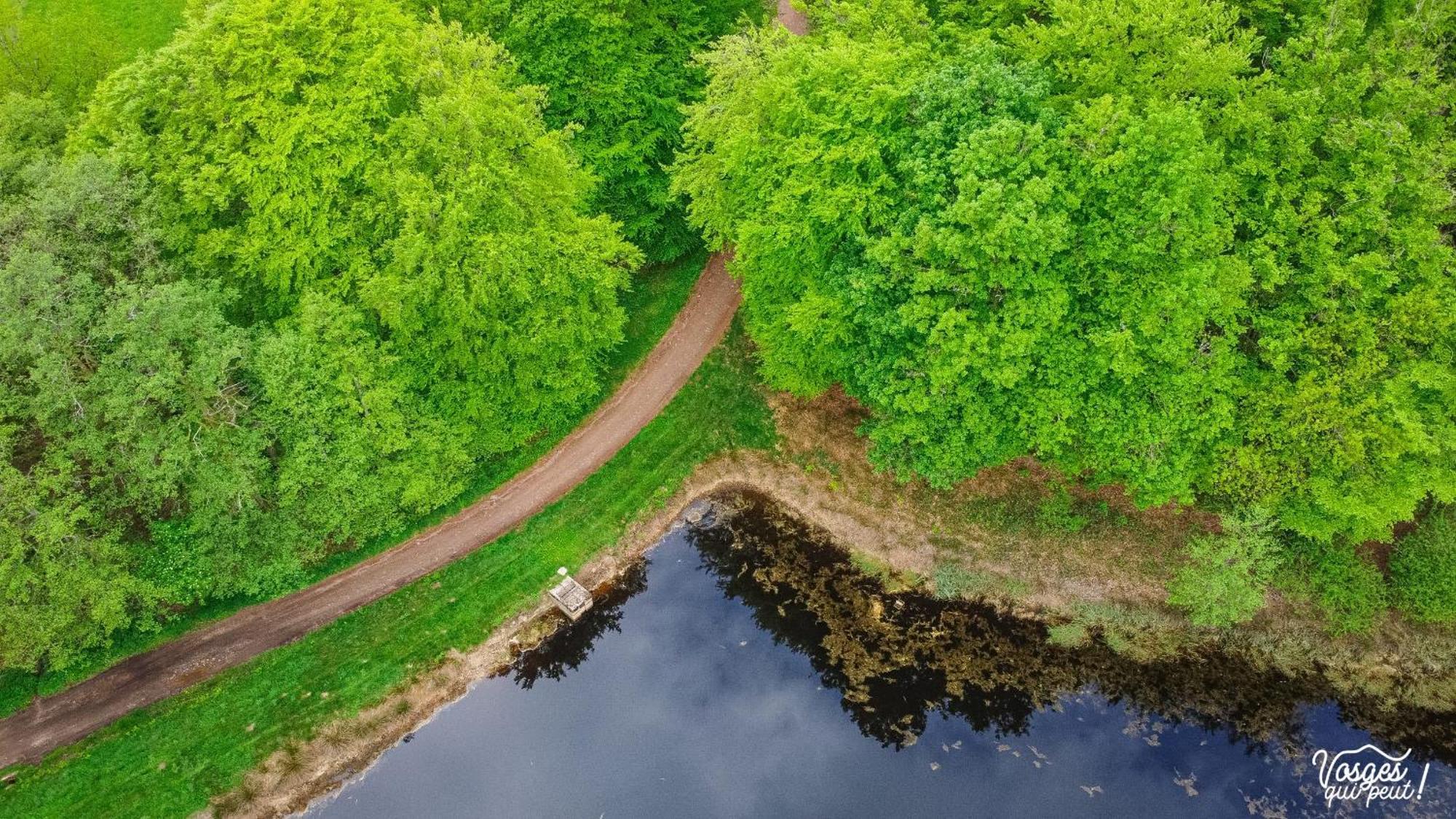 Villa Des Capucins Luxeuil-les-Bains Eksteriør bilde